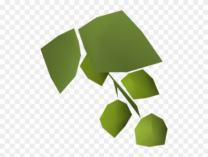 Asgarnian Hops Detail - Wiki #691940