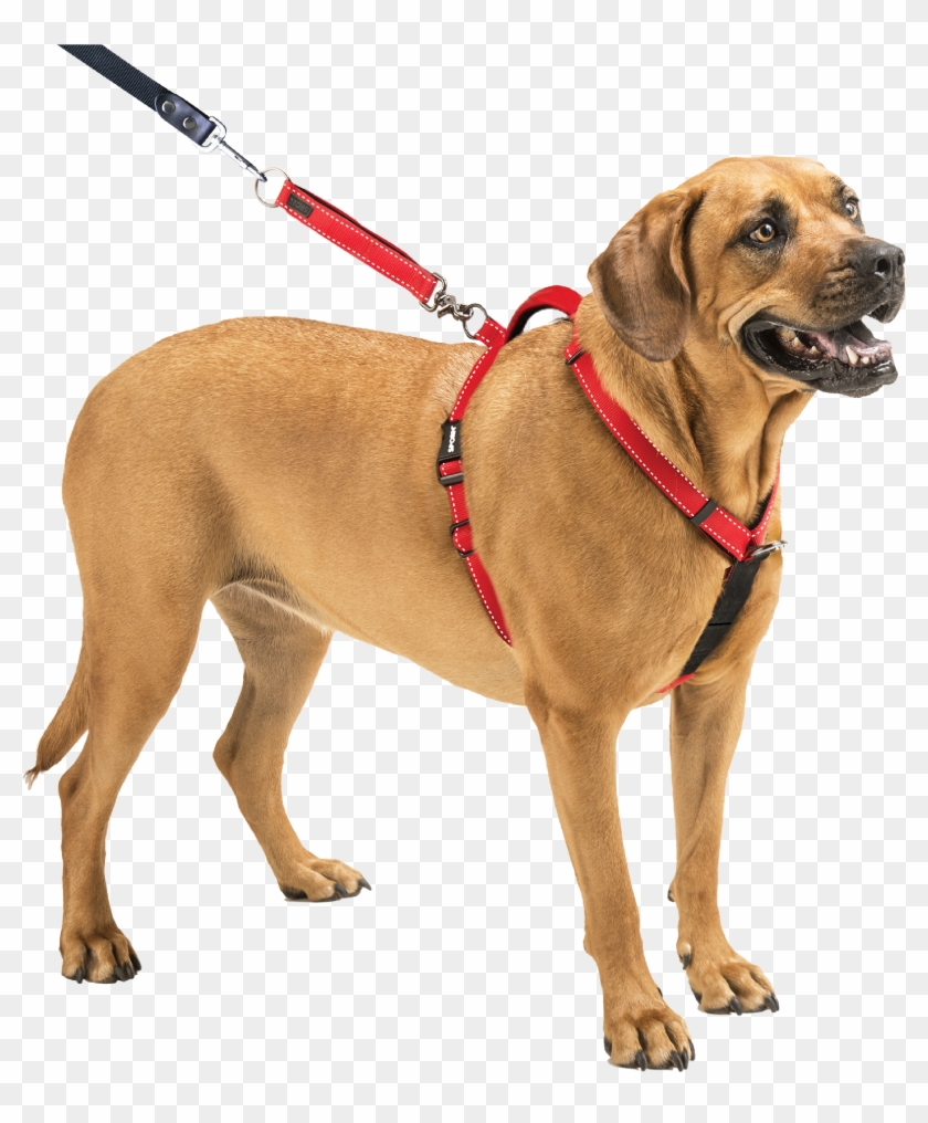 Sporn Ultimate Control Harness Walmart Com Best Dog - Put On Dog Harness #691967