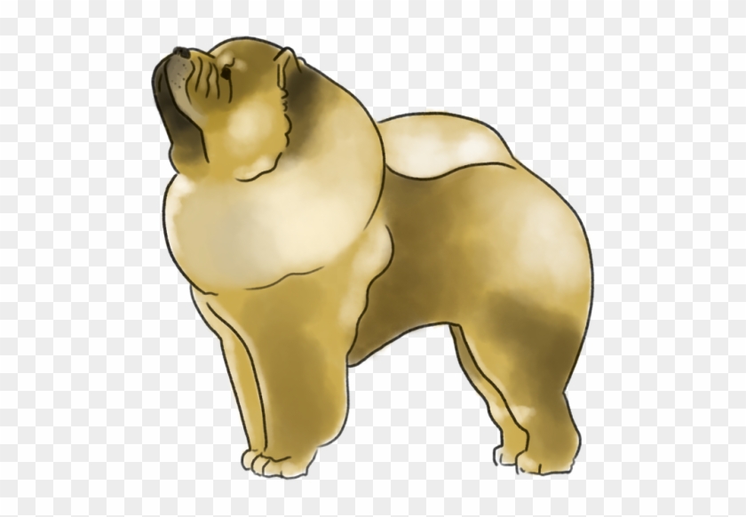 “chow Chow ” - “chow Chow ” #692080