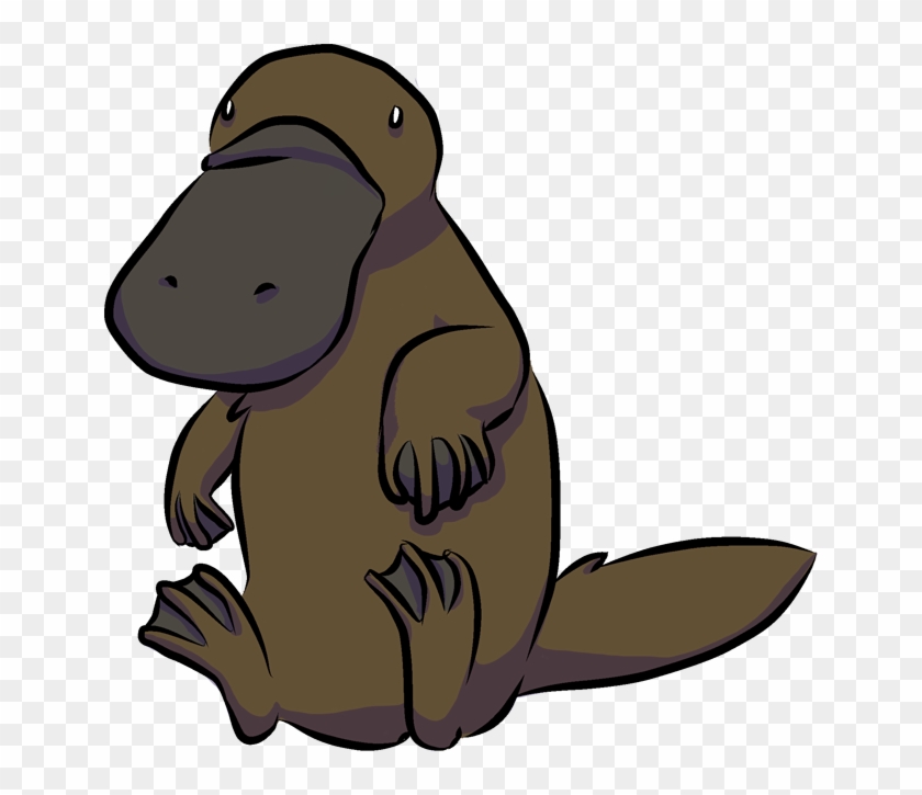 Platypus Beaver Animal Cartoon Drawing - Platypus Beaver Animal Cartoon Drawing #692725