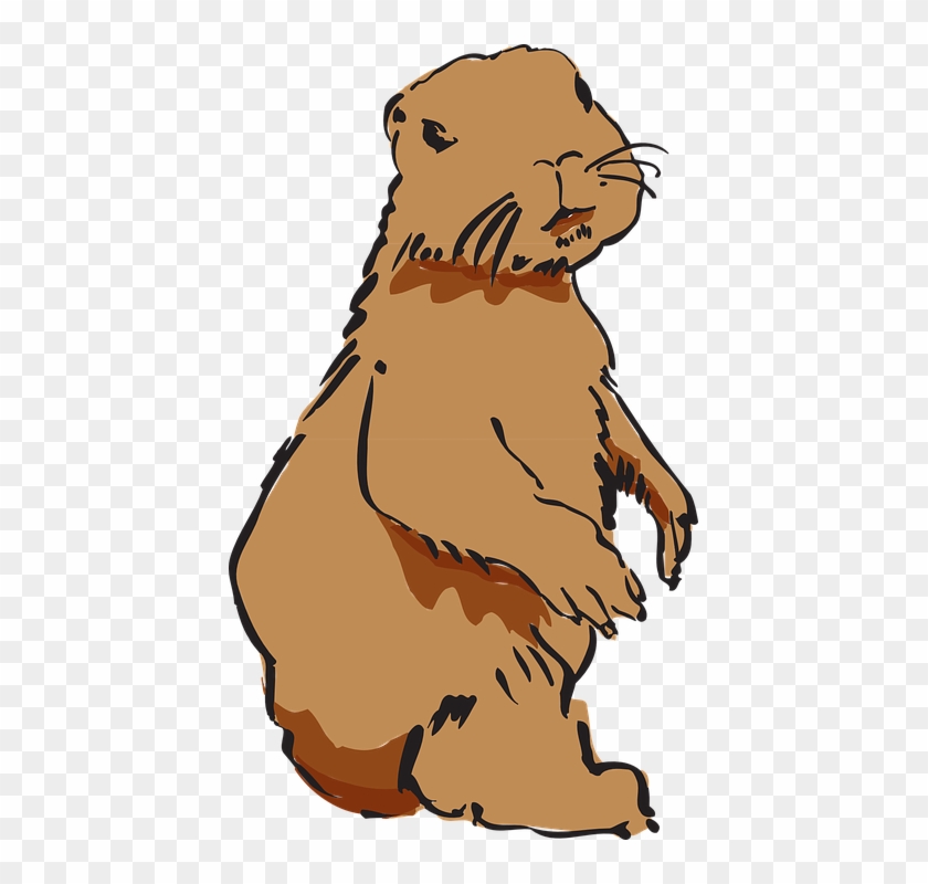 Cartoon Beaver Images 15, - Animals Clipart #692842