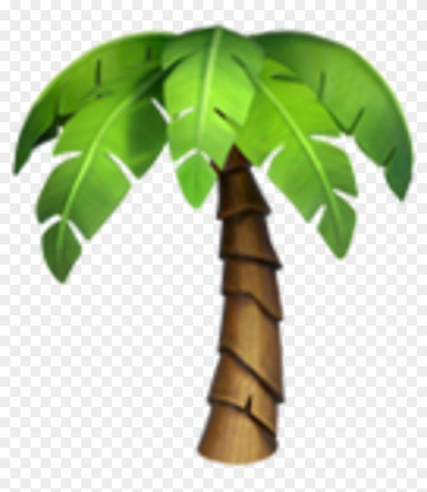 Iphone Emoji Flowers Palmtree Tree - Whatsapp Emoji Palme #692963