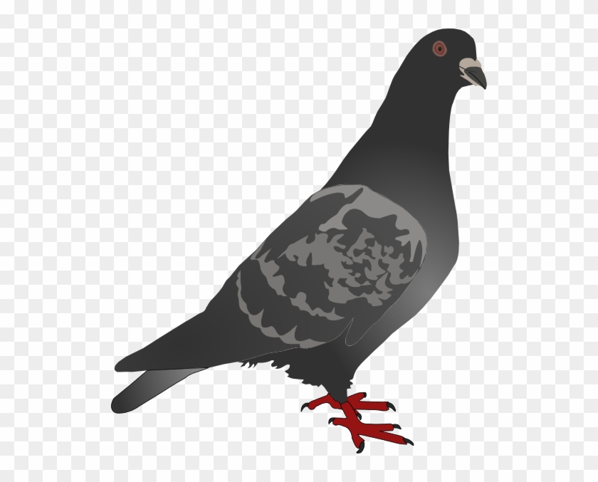 Black Pigeon Png Clip Art - Pigeon Mousepad #693037