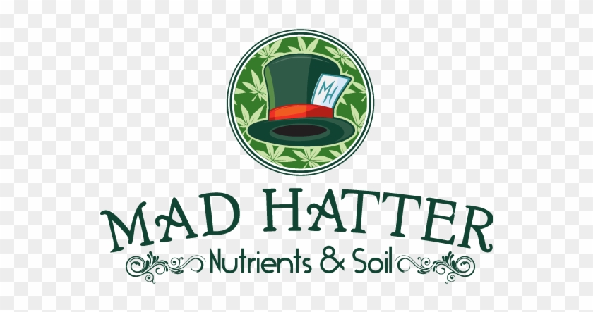 Mad Hatter Logo Design - Wesley College Perth Logo #693434