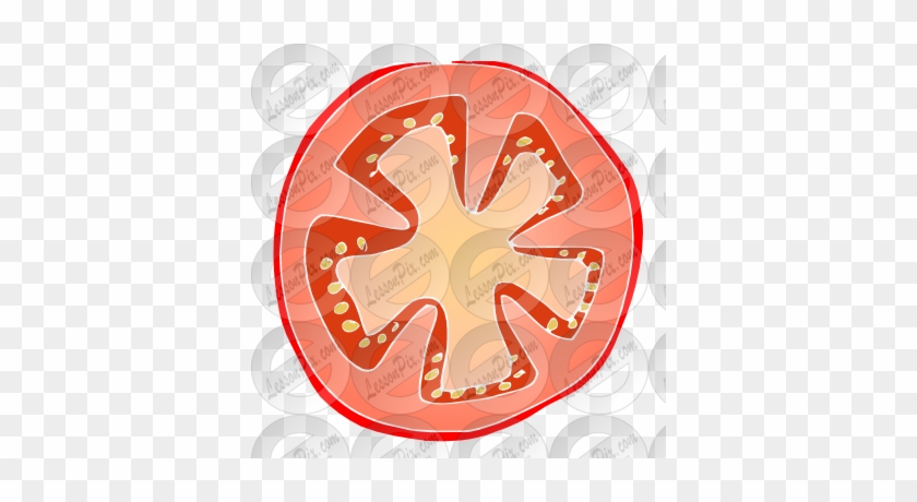 Tomato Stencil - Tomato #693668