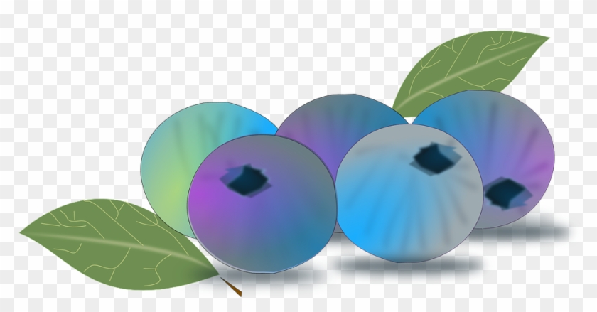 Blueberry - Berries Png Vector #693821