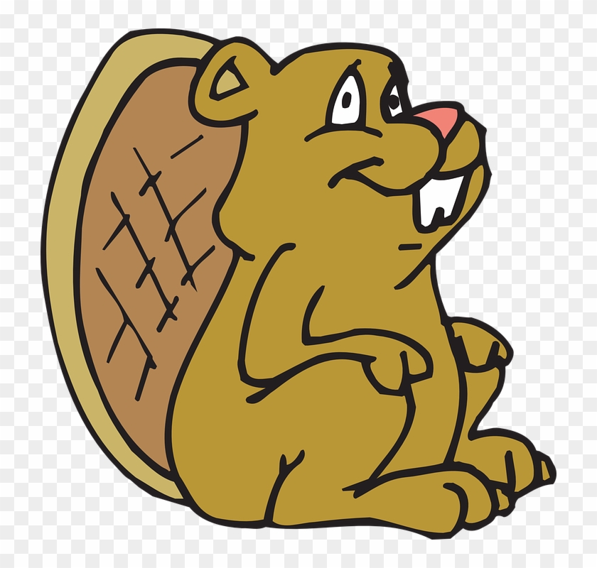 Cartoon Beaver Images 22, Buy Clip Art - Gif De Castores Animados #693844