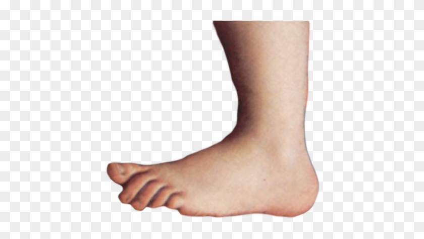 Monty Python Foot - Monty Python Foot Png #693898
