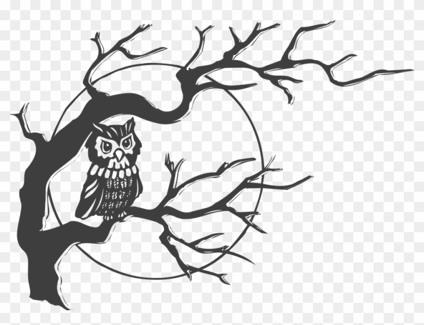 Creepy Clipart Moon - Owl On A Tree Drawing #694034