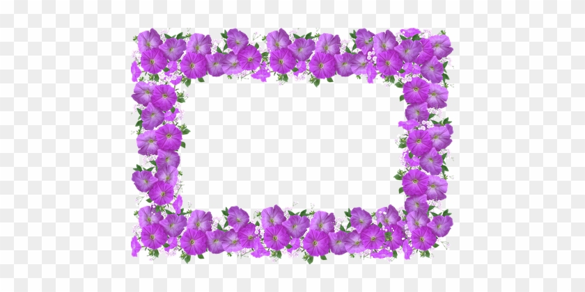 Frame, Border, Petunia - Bingkai Duka Cita Png #694672