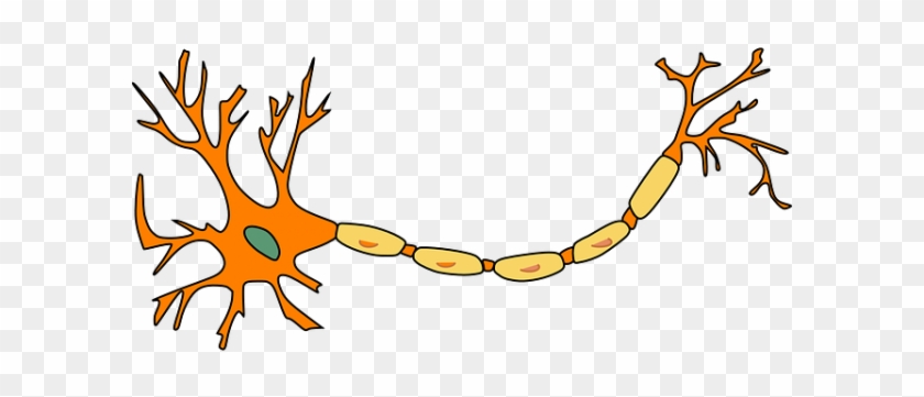 Label A Neuron #694915