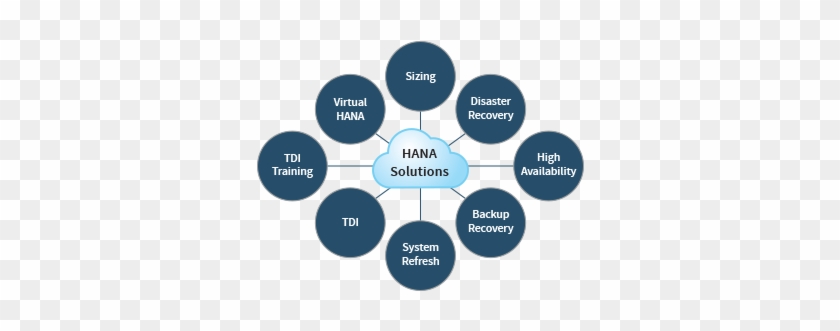 Hana Infrastructure Solutions - Grape #695068