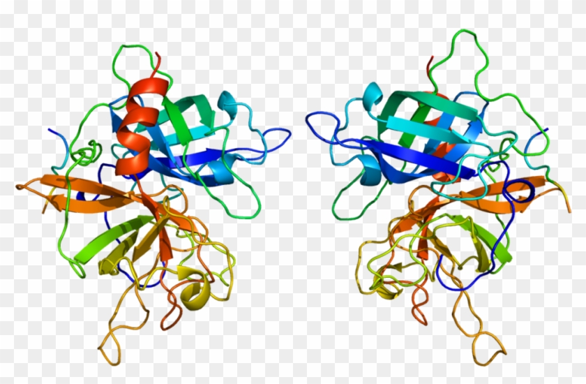 Tissue Plasminogen Activator - Tissue Plasminogen Activator #695085