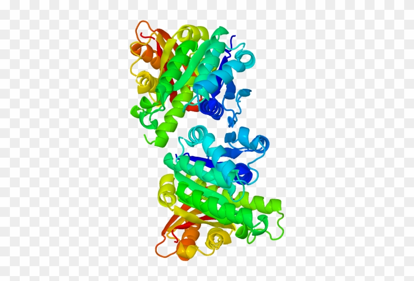 Cell Division Protein Ftsz From Mycobacterium Tuberculosis - Mycobacterium Tuberculosis #695864