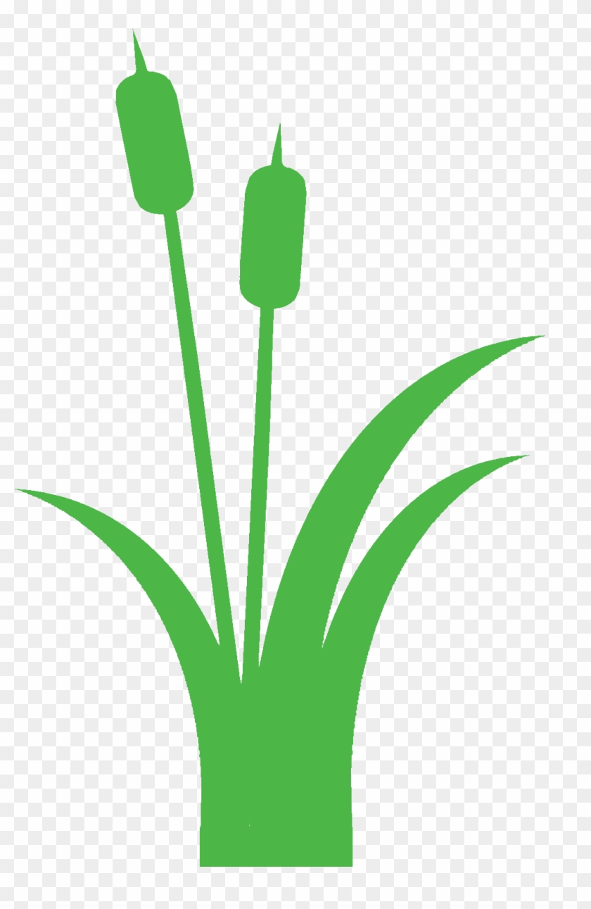 Cattail Black Clipart - Cattail #695887