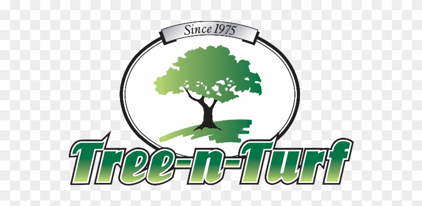 Green Day Clipart Lawn Care - Tree-n-turf Services #696245