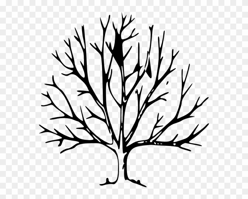 Free Bare Tree Branch Clip Art - I'm A Stranger Here Myself #696323