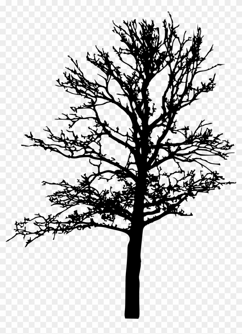 Bare Tree Silhouette Png - Portable Network Graphics #696349