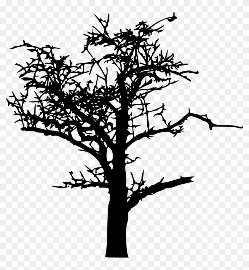 Bare Tree Silhouette Png Download - Portable Network Graphics #696355
