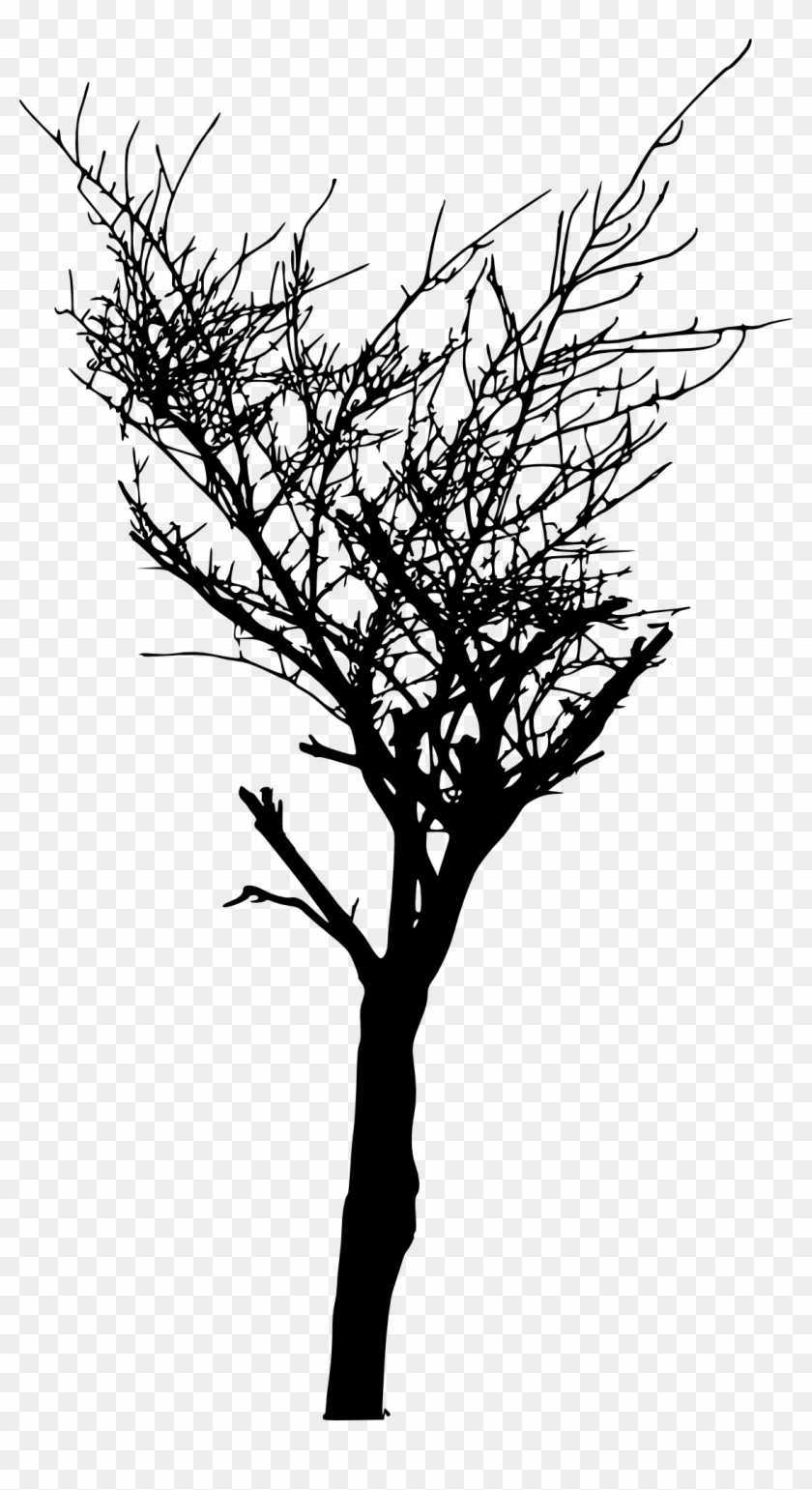 Free Download - Bare Tree Silhouette Transparent #696359