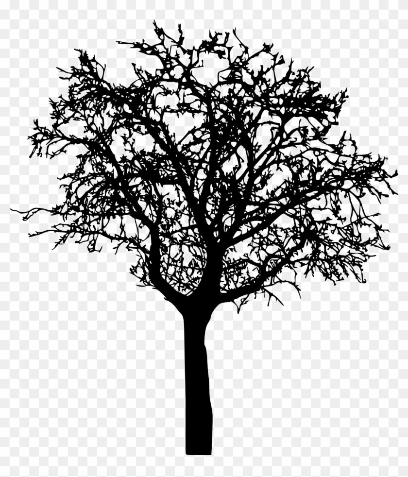 Bare Tree Silhouette Png - Bare Tree Silhouette #696369