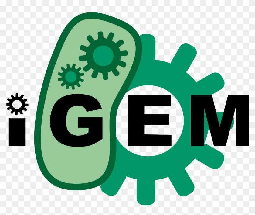 Source - Igem - Org - International Genetically Engineered Machine #696385