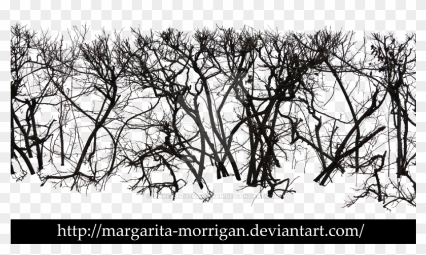 Bare Trees 2 By Margarita-morrigan - Bare Trees #696402