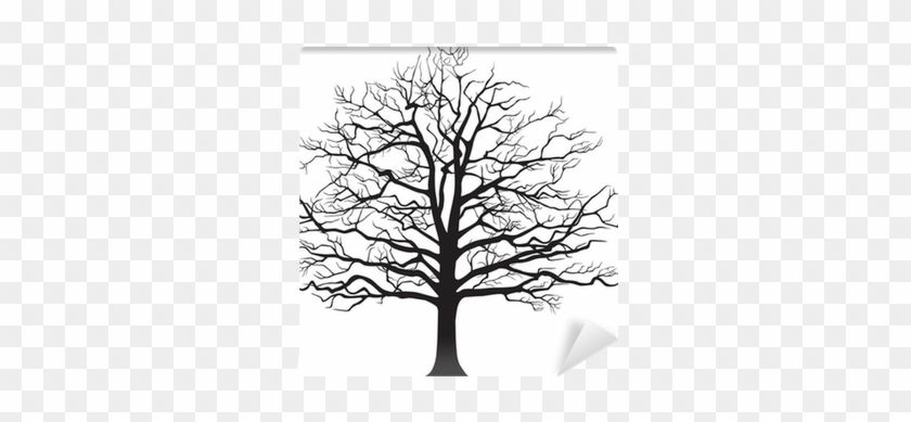 Black Silhouette Bare Tree - Disegnare Un Albero Spoglio #696437