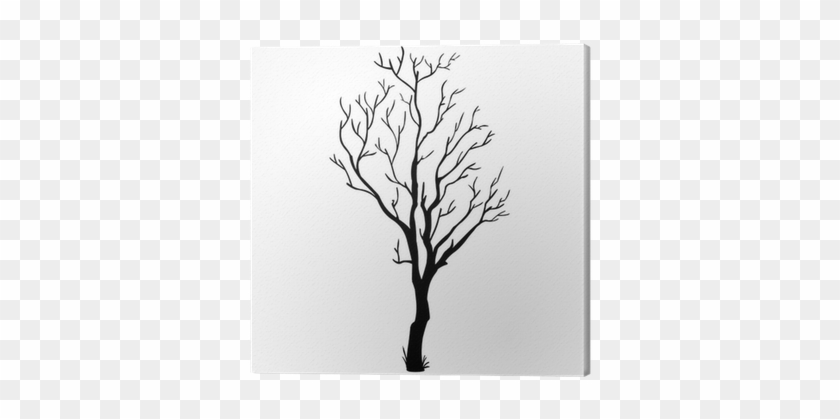 Vector Black Silhouette Of A Bare Tree Canvas Print - Branch Tree Black Silhouette #696475
