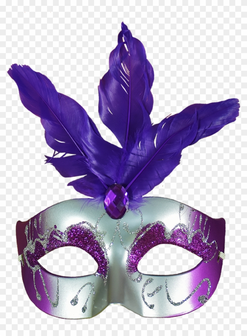 Carnival Fool-time Mask Png Image - Purple Carnival Feathers Background #696622
