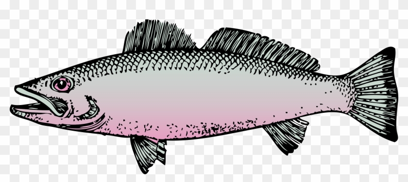 Clipart Fish - Fish Clip Art #696619