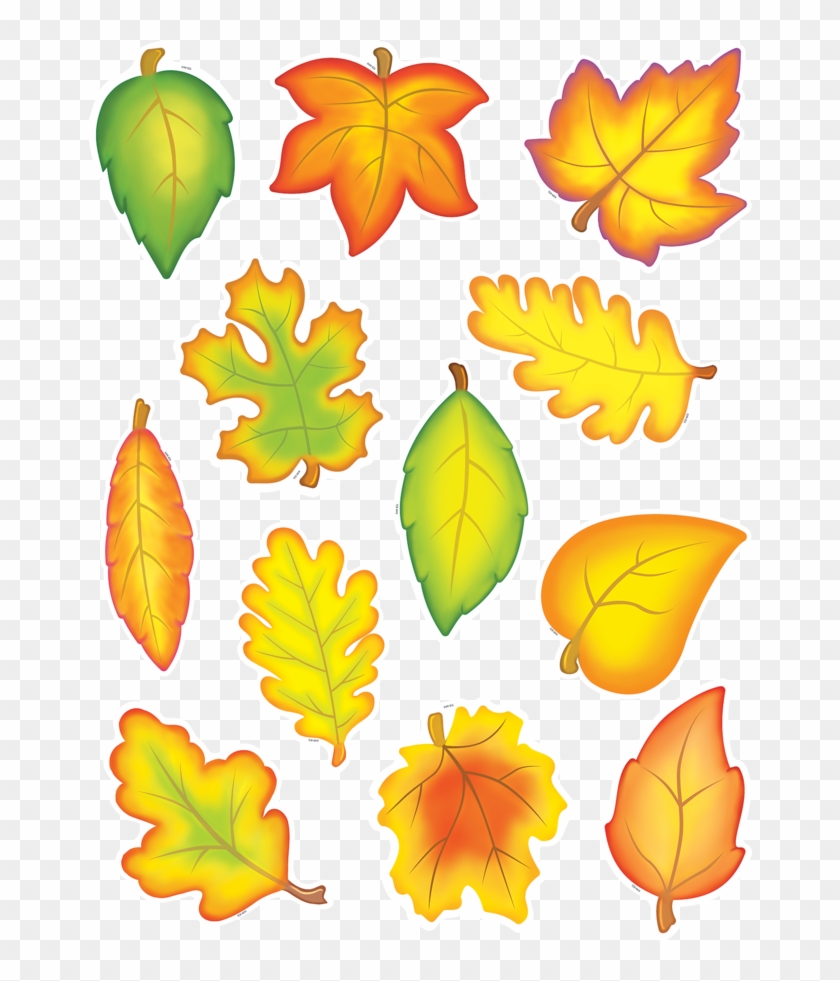 Tcr4419 Fall Leaves Accents Image - Teacher Created Resources Fall Leaves Accents Packs #696822