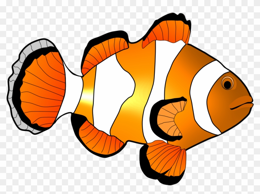 Clown Fish Clip Art - Coral Reef Fish #696865