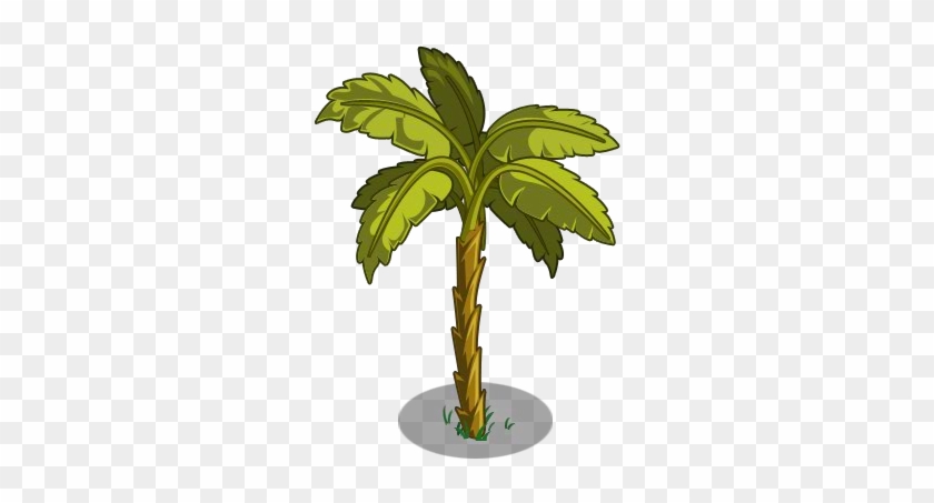 Clip Art Ilration Of A Tropical Banana Tree - Cuban Banana Tree #696879