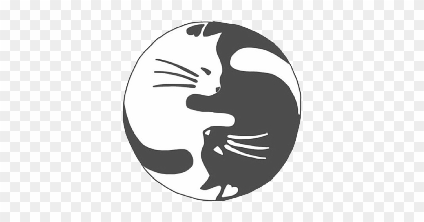 Black And White Cats Grunge Pastel Kittens White Cat - Cat Yin Yang #697032