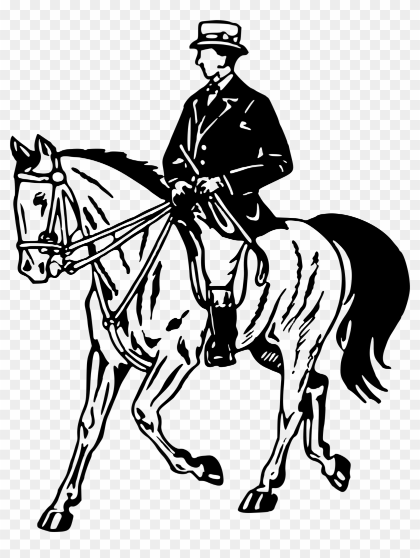 Horse Pony Equestrian Stallion Clip Art - Horse Pony Equestrian Stallion Clip Art #697343