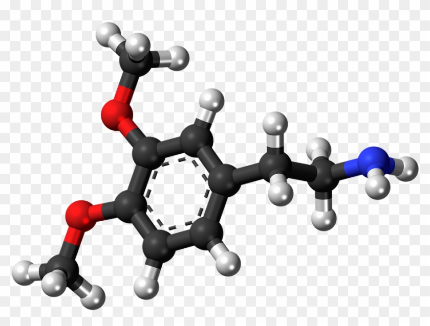 Always, Before Writing My Daily Article I Spend A While - Amine Compounds (chemical Compounds) #697609