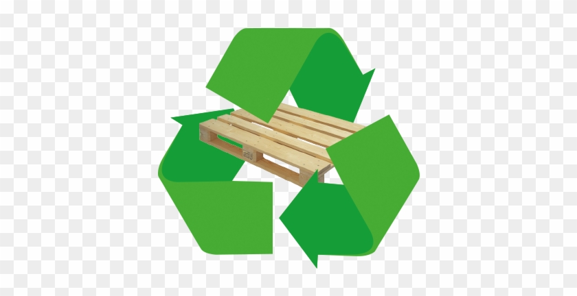 Any Pallets That Cannot Be Re-used We Recycle For Animal - Going Green In The Office #697610