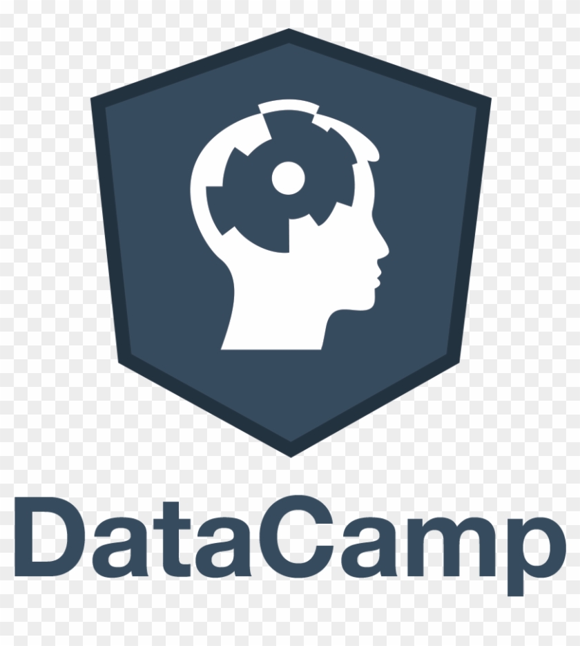 Datacamp Logo Top - Linkedin Learning Paths Certificate #697834