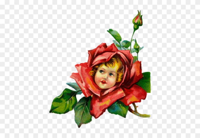Arana Альбом «clipart / Clipart5 / Vintage Illustrations» - Rose Flower With A Face #697839