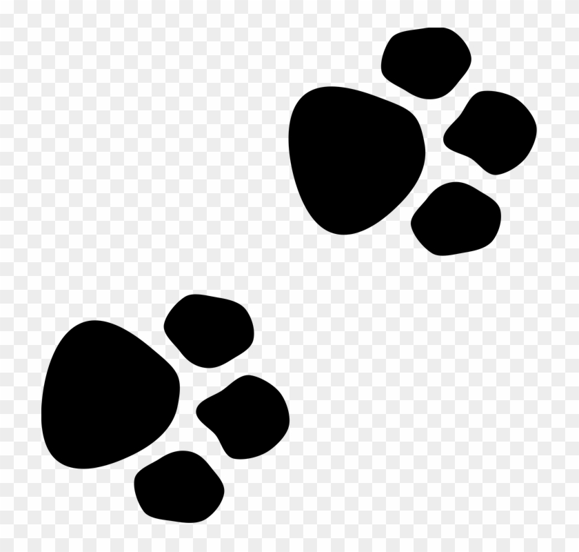 Footprint Clipart Transparent - Dog Paw Icon Transparent Background #698312