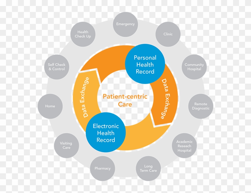 The Report States That It Is Important To For Healthcare - Record Keeping In Hospital #698316