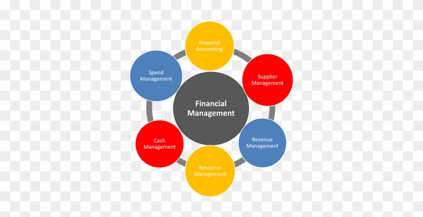 Accounting And Hrm Managment System - Financial Management In Project Management #698352