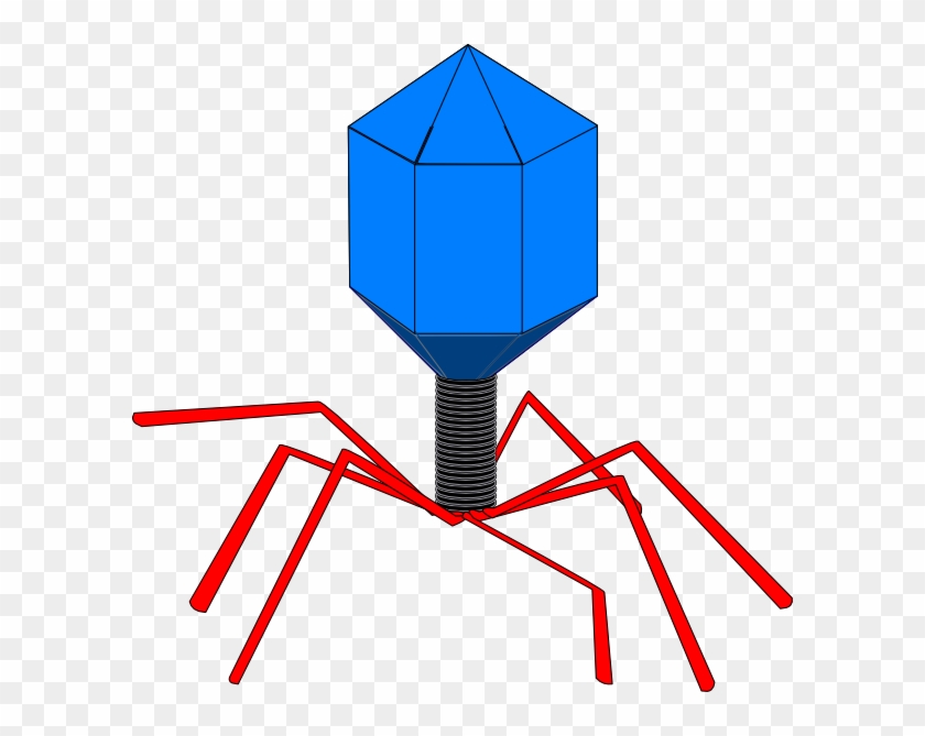 Virus Clipart #698645