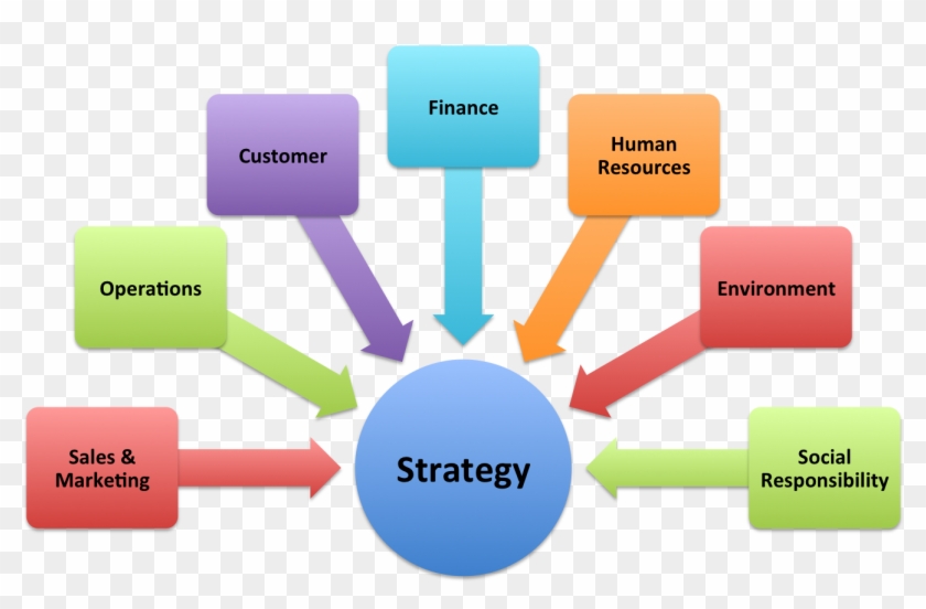 Functional Areas Of Business Management The Role Of - Activities Of Daily Living #699020