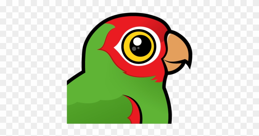 About The Red-masked Parakeet - Golden Capped Conure Cartoon #699156