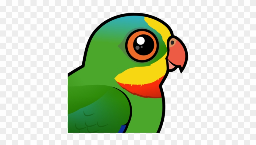 About The Superb Parrot - Superb Parrot Png #699167