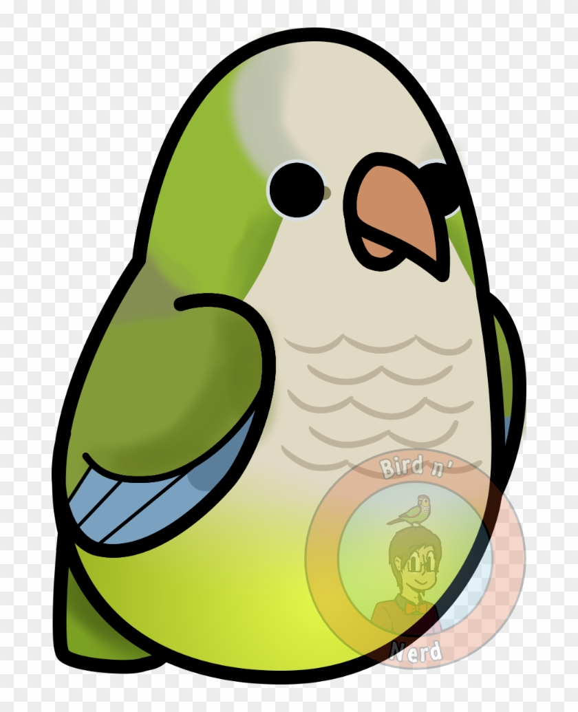 Quaker Parrot/monk Parakeet By Maddemichael - Monk Parakeet #699183