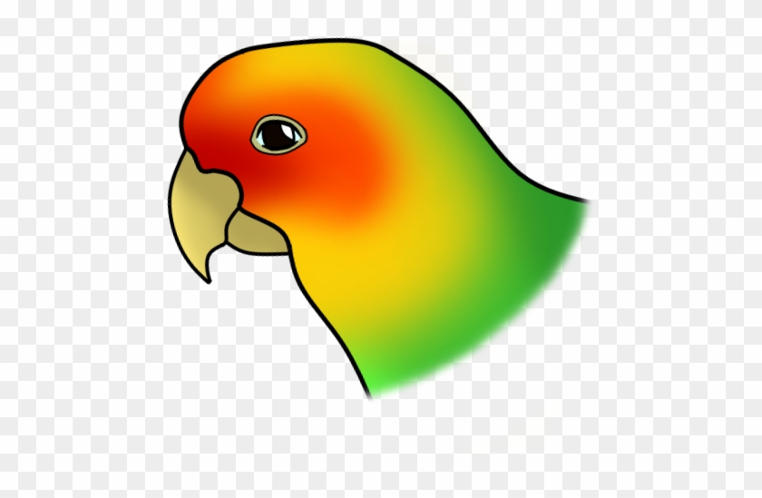 Carolina Parakeet-extinct In 1918 By Awkwarddoge - Lovebird #699185
