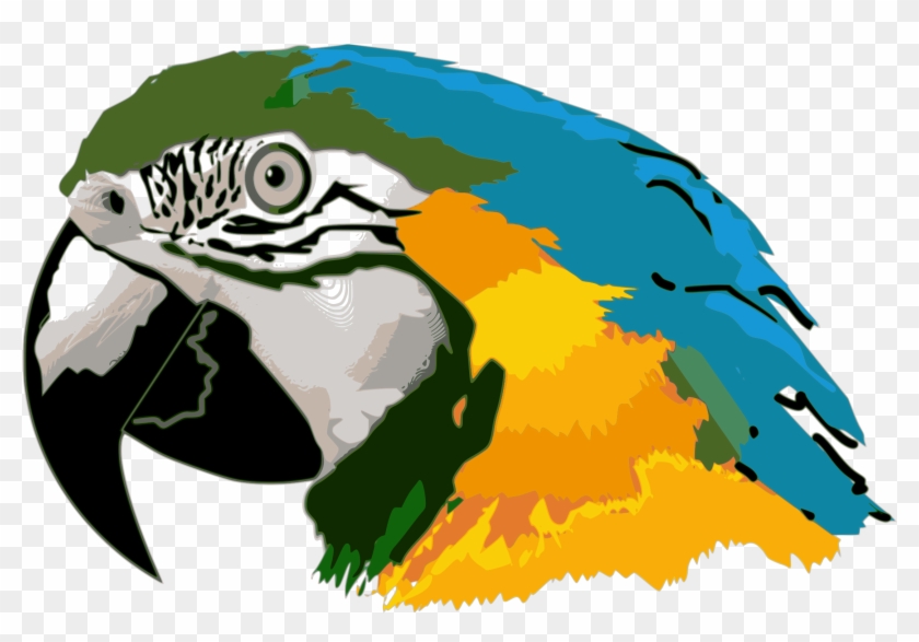 Caninde - Parrot Head Clip Art #699254
